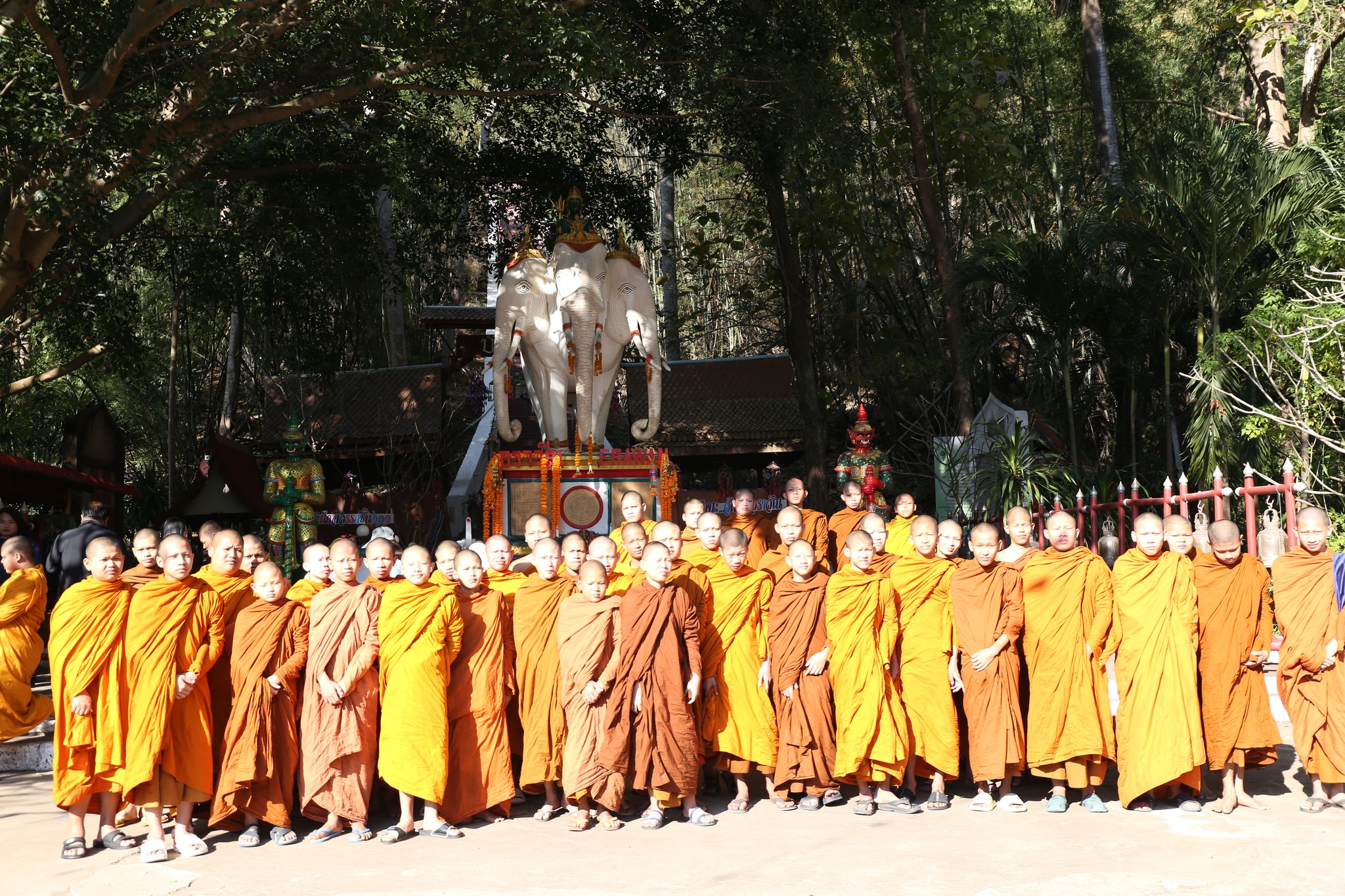 612402321 808724232225256 1792034662171759519 n