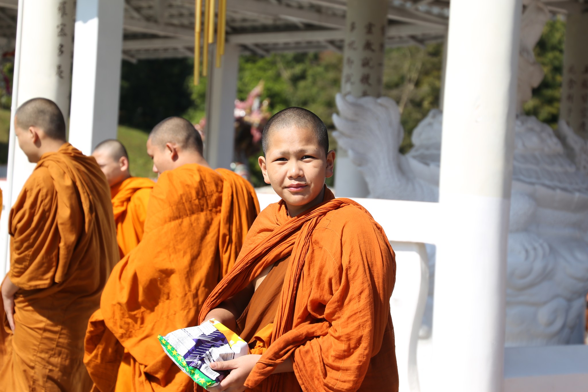 613094864 808703335560679 8367010742851541756 n